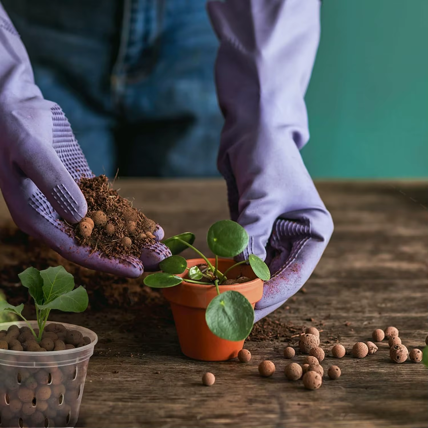 Boules d'argile organique 2L/1L, argile élargie de Drainage de substrat de fleur, pot de plante de j