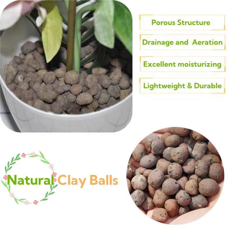 Boules d'argile organique 2L/1L, argile élargie de Drainage de substrat de fleur, pot de plante de j
