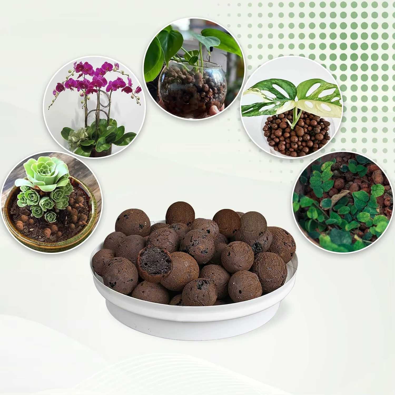 Boules d'argile organique 2L/1L, argile élargie de Drainage de substrat de fleur, pot de plante de j