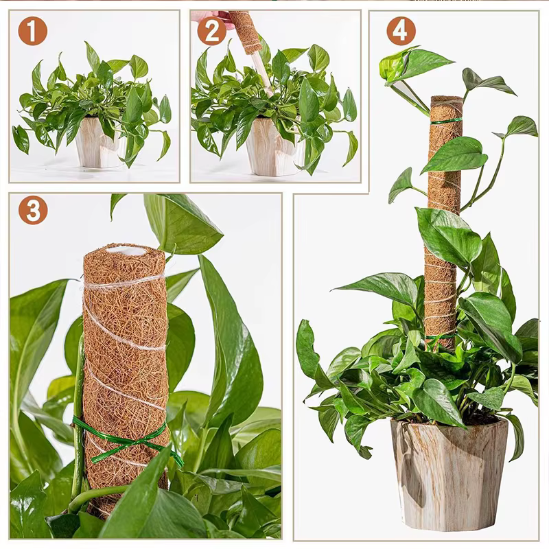 Totem de jardin en coco, bâtons de palmier en mousse, bâton de mousse, Support de vigne pour plantes