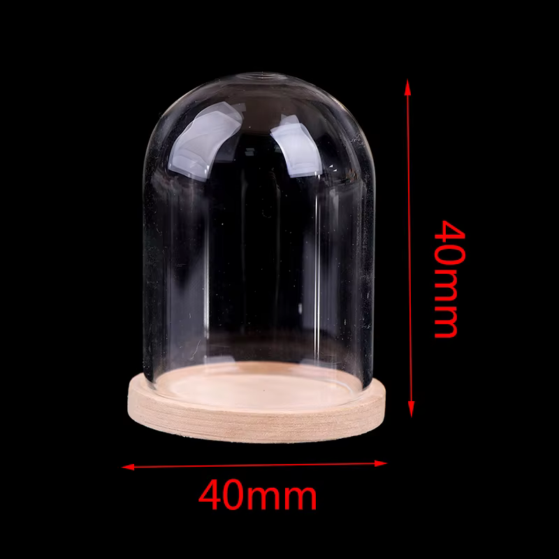 Présentoir à fleurs en verre Everche, cloche, pot breton, conservation importante, socle en bois, fl