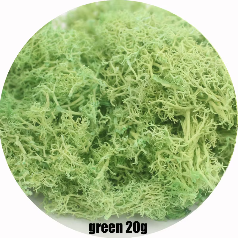 Plante Verte Artificielle, Fausse Fleur, Mousse Enge pour la Maison, Salon, Mur Décoratif, DIY, Mini