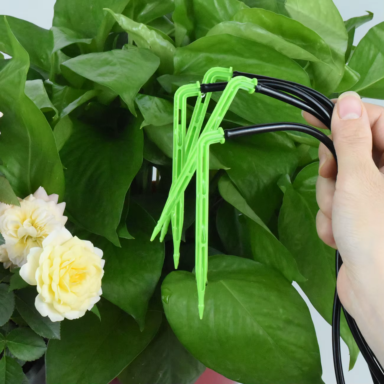 SPRINCLE-Système d'irrigation goutte-à-goutte à coude vert pour bonsaï en pot, tuyau d'arrosage auto