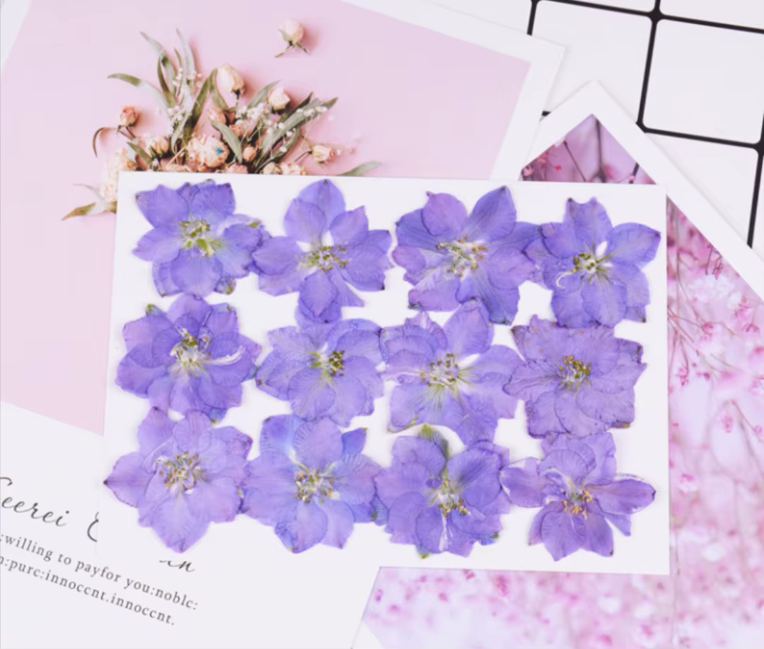 Plante de fleurs d'ajabis séchées, 120 pièces, herbium pour bijoux, maquillage du visage, carte post