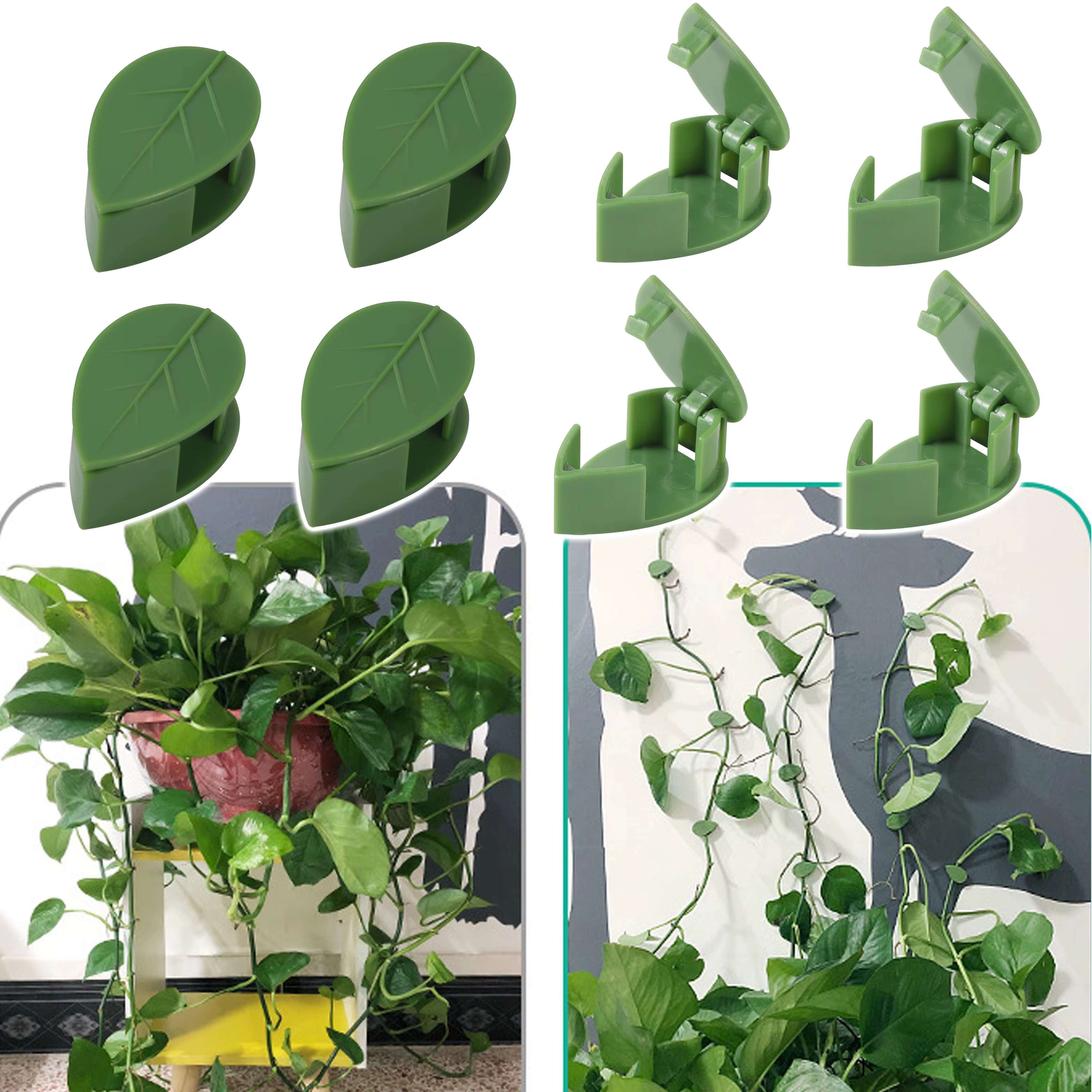 Fixation Auto-Adhésive Invisible pour Plantes Grimpantes, Support de Traction à réinitialisation, Ro