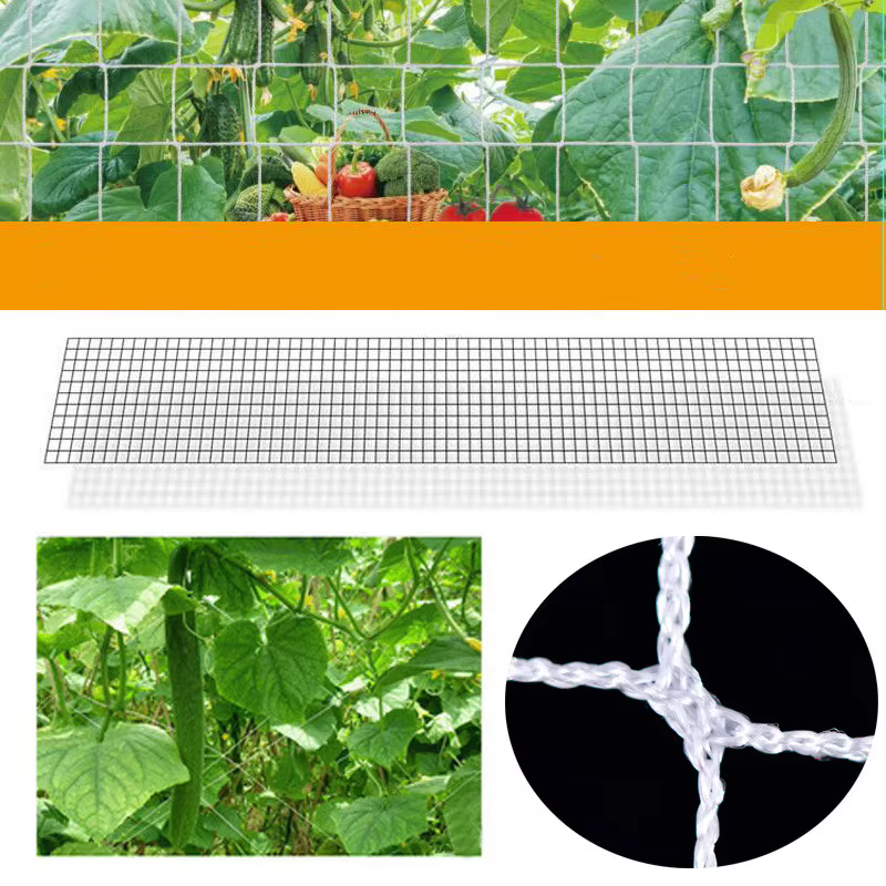 Filet en treillis polyester pour plantes, 1.67x20m, support pour plantes de jardin, fleurs, concombr