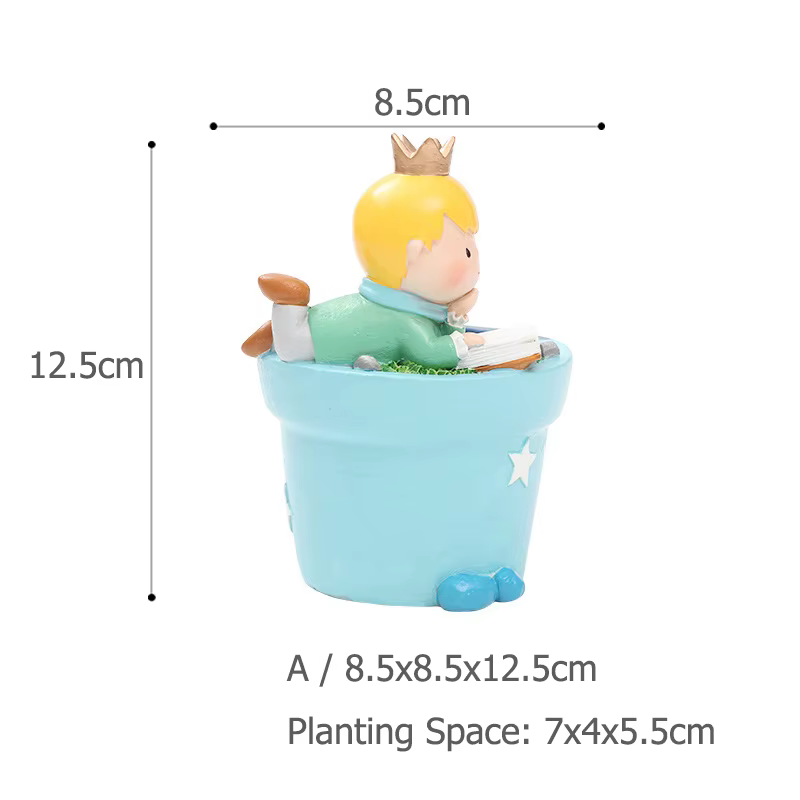 Jardinière Prince Kid pour plantes succulentes Cactus, Pot de fleur pour Mini bonsaï, ornements de j