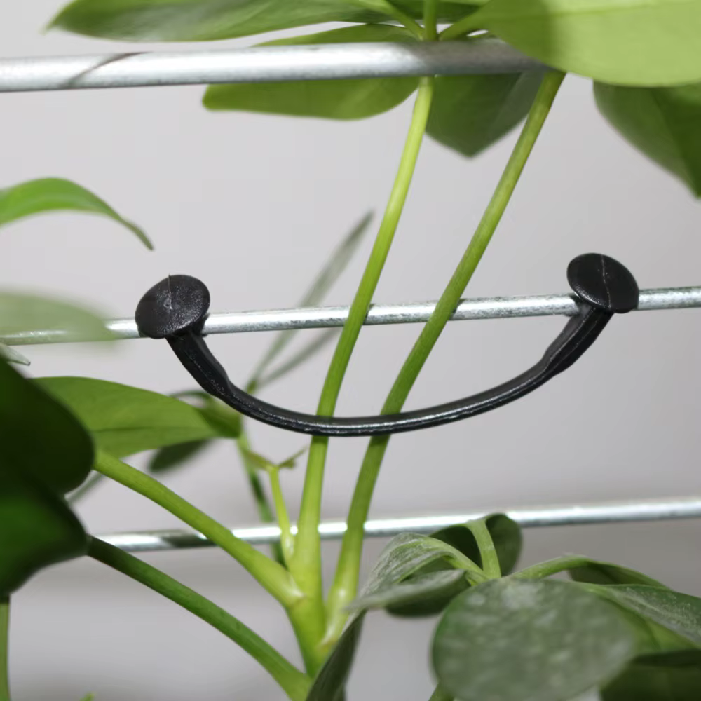 Boucle attachée pour plante de vigne, 1000 pièces, Clip de fixation pour vigne de raisin Kiwi, fleur