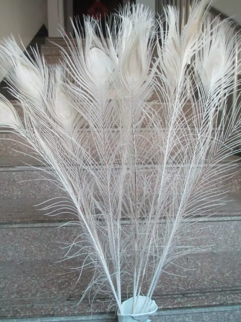 Nouveau! Plumes de paon naturelles pour vase à fleurs décoré, bricolage, mariage, salon, qualité, 50