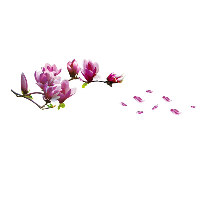 Autocollant mural romantique fleur de Magnolia, adhésif amovible, décor de fond de salon et chambre 