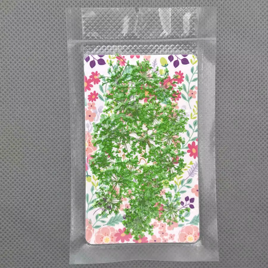 24 pièces fleurs séchées naturelles 2-2.5cm fleur en dentelle bricolage pressé herbier fleur artisan