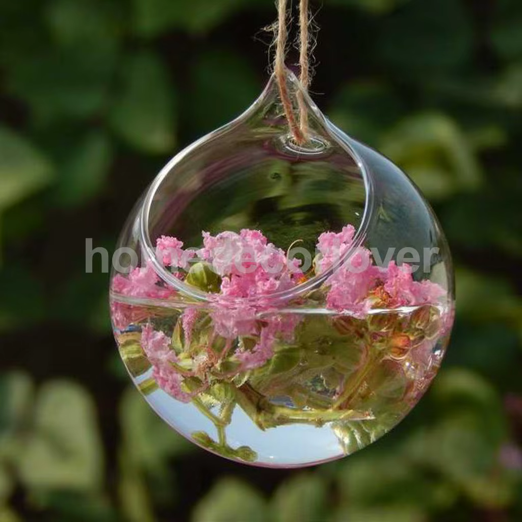Vase en verre transparent pour plantes à fleurs, pot de bouteille, décor de boule de jardin de maria