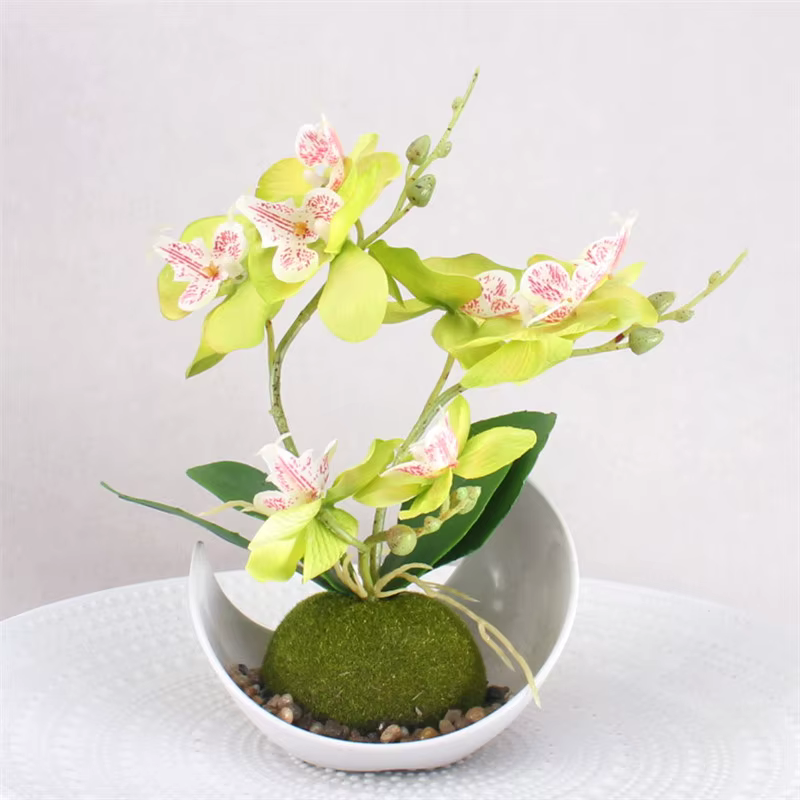 Fleur d'orchidée artificielle à 3 branches, plantes en pot, feuille de mousse Phalaenopsis en soie, 