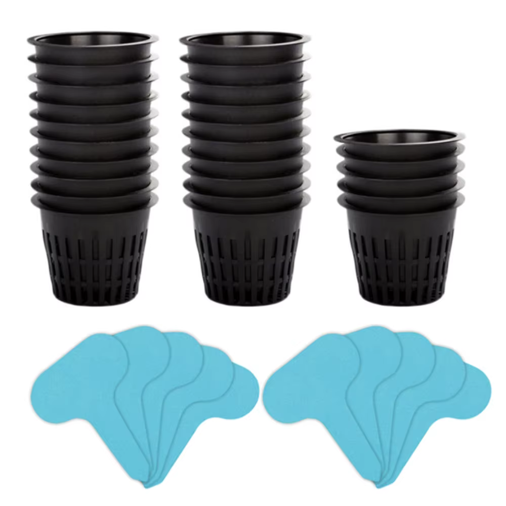 Paniers de plantation, tasses à valeur fixe avec étiquettes pour plantes, plantes de jardin, culture