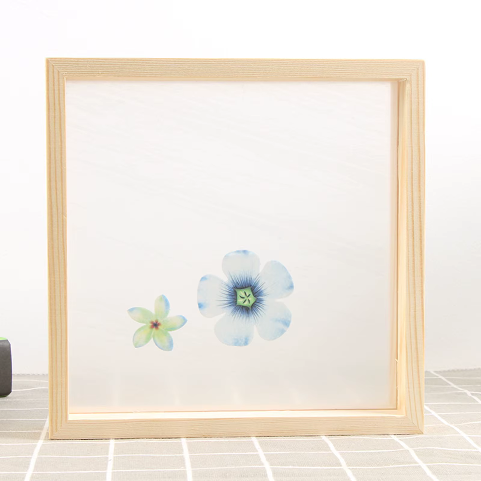 Cadre Photo Double face pour plantes, Support pour feuilles séchées, décoration bricolage