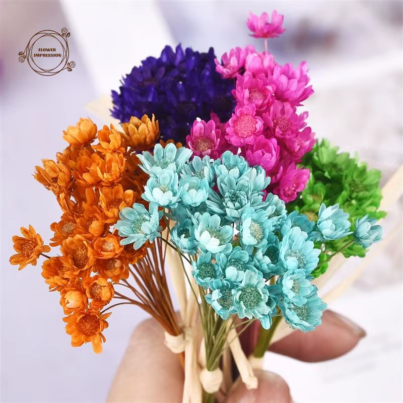 50pcs petite étoile marguerite fleurs séchées décor de mariage petite camomille Flore Bouquet fête c