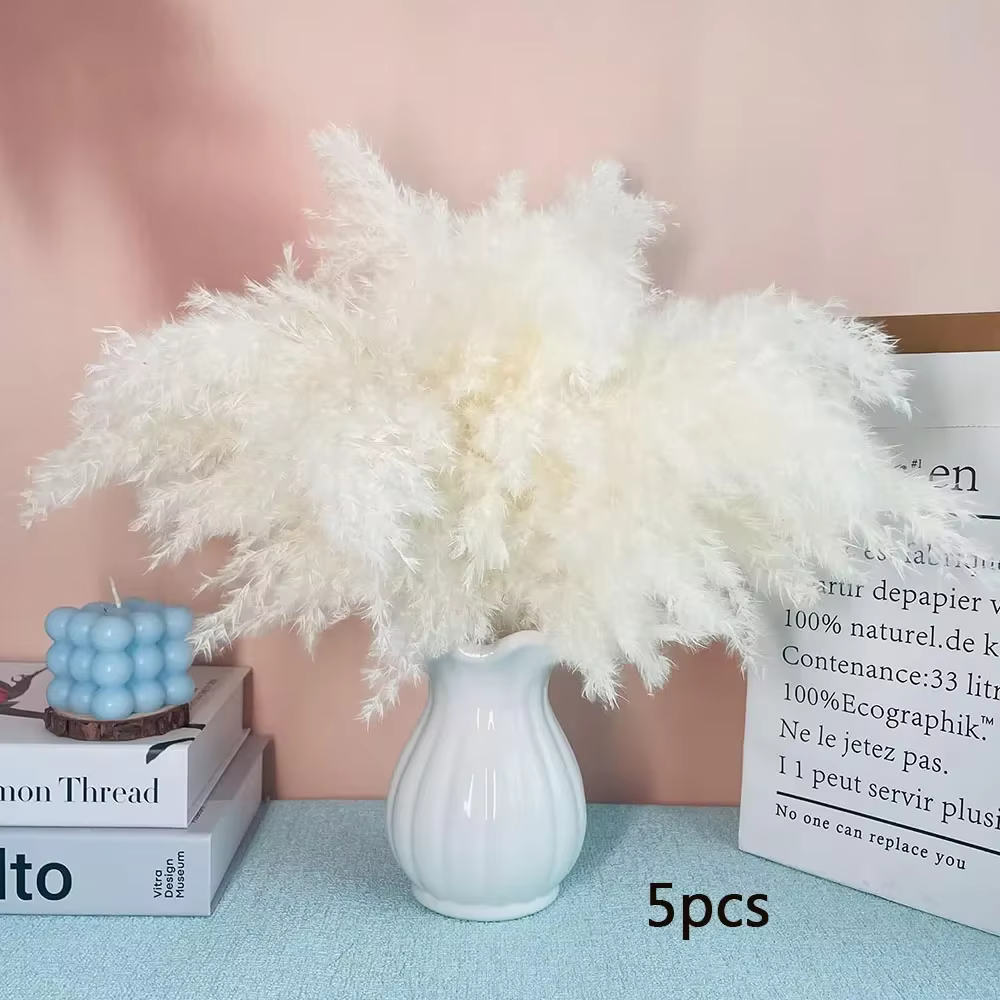 Bouquet de Pampa Blanche Naturelle vaccée, Décoration DIY pour Maison Bohème, Salon, Mariage, Chambr