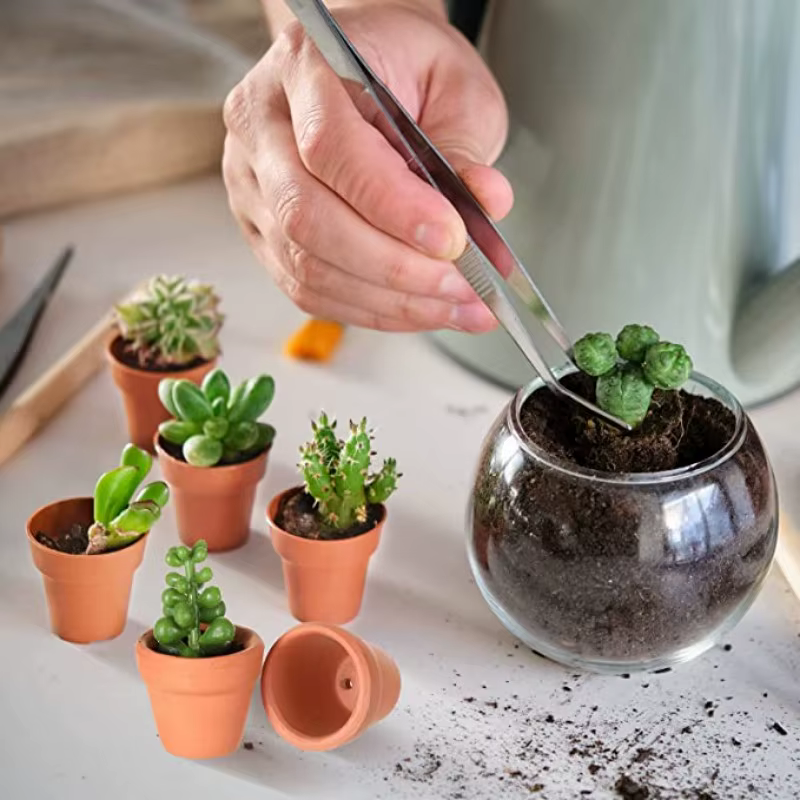 50 pièces minuscules Pots en terre cuite-1.3 pouces petits Mini Pots en argile avec trous de Drainag