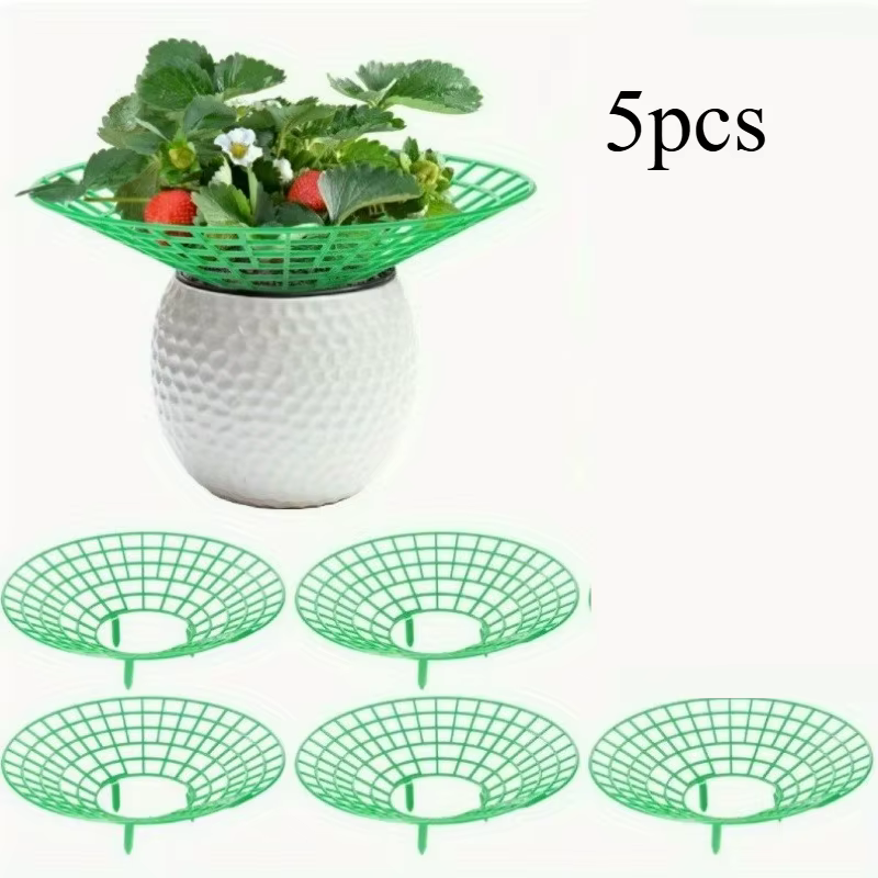 Supports pour plantes de fraises, avec trois pieds robustes, offrant une protection contre les moisi