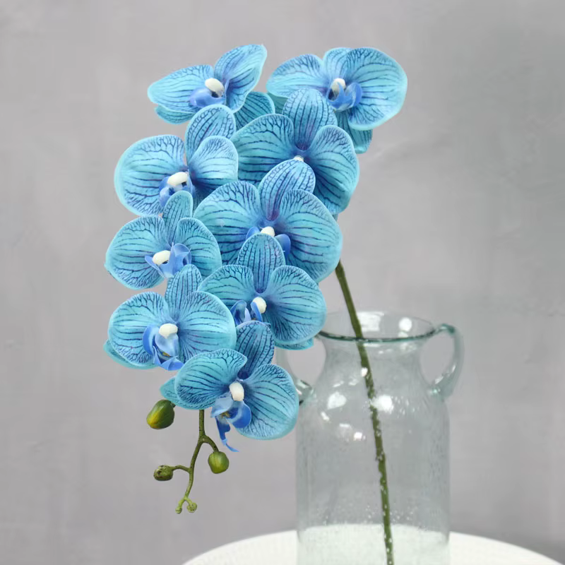 9 têtes d'orchidées Phalaenopsis artificielles en latex PU à toucher réel, pour décoration intérieur
