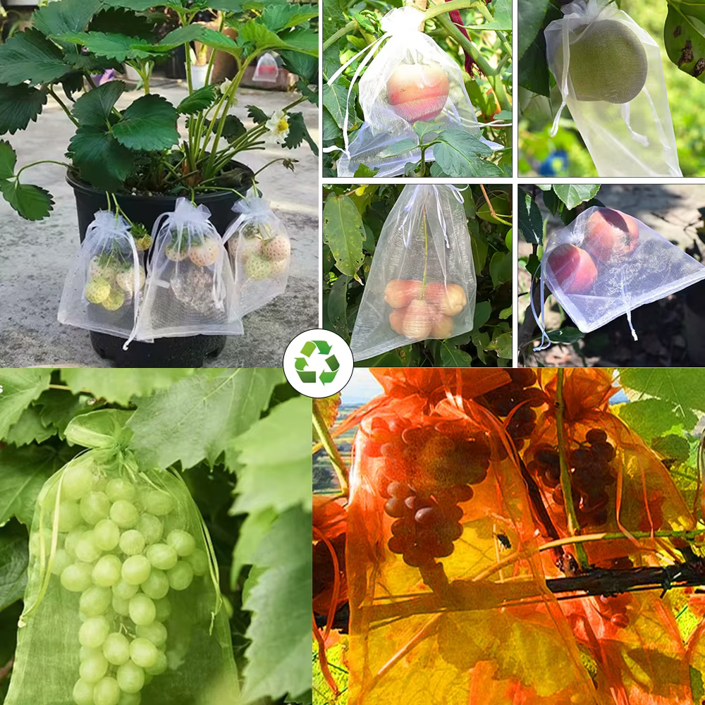Sacs de culture de légumes et de raisins, 20 à 100 pièces, sacs de Protection des fruits, filet Anti