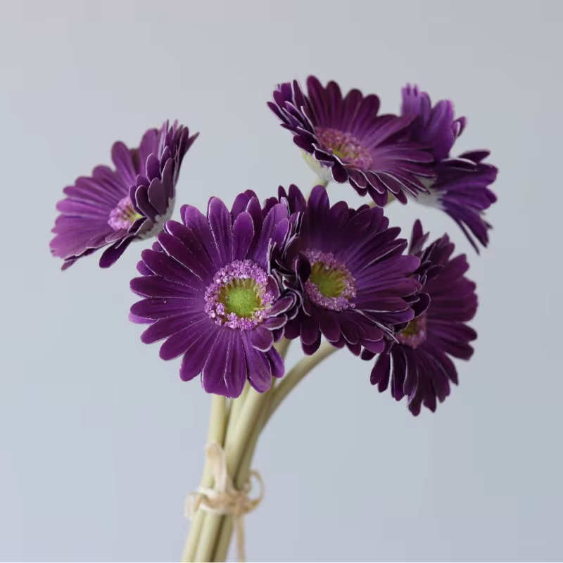 Lot de 2 Gerberas artificielles sans feuilles en PU bleu, 6 têtes, pour décoration de centre commerc