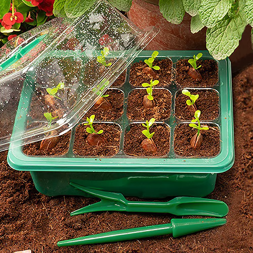Pots de plantes en plastique avec trou de 6/12 cellules, boîte de culture, pots de semis de plantes,