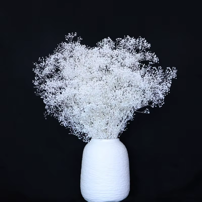 Pouvez-vous psophila Naturelle pour Décoration de ixIntérieure, Petit Ciel Étoilé, Indépendant, Bébé
