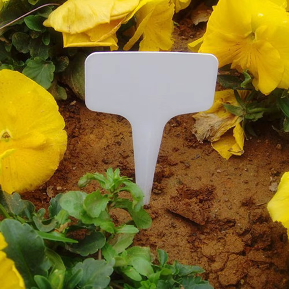 Étiquettes de jardin blanches pour plantes, 100 pièces, étanche, Classification, panneau de tri, bil
