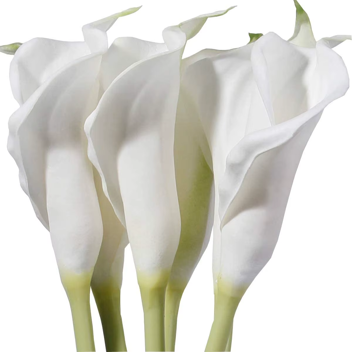 Grandes fleurs artificielles de calla blanches de 25 pouces, 6 pièces, aspect naturel avec longue ti