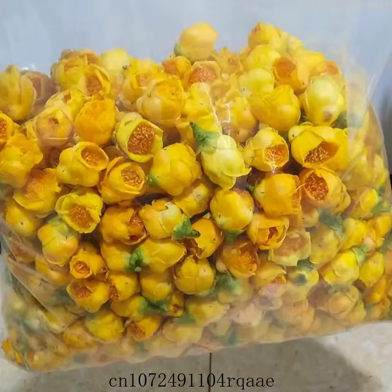 Fleur de Camellia Nitidissima séchée de qualité supérieure 50g/100g/200g Fleur de Camellia dorée nat