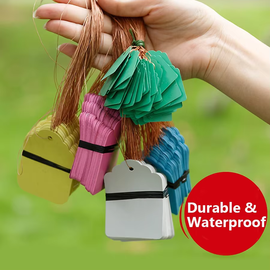 Étiquettes de plantes réutilisables, 100 pièces, pour le jardinage, Pot de fleur de qualité, Pots de