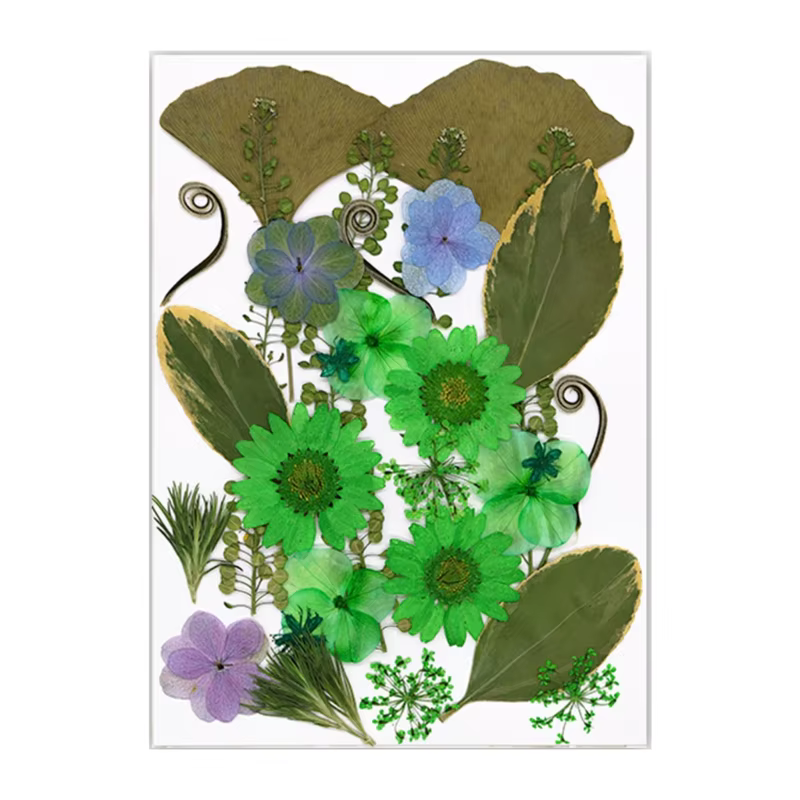 Fleurs séchées pressées pour résine, 30 pièces, feuilles fleurs sèches naturelles pour artisanat d'a