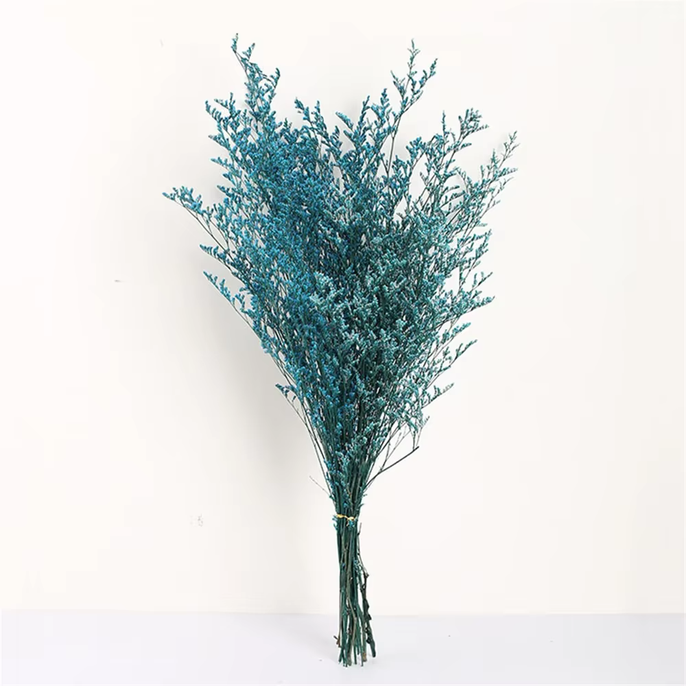Fleur d'amoureux préservée séchée et naturelle, fleurs dansantes, vraie fleur pour toujours, branche