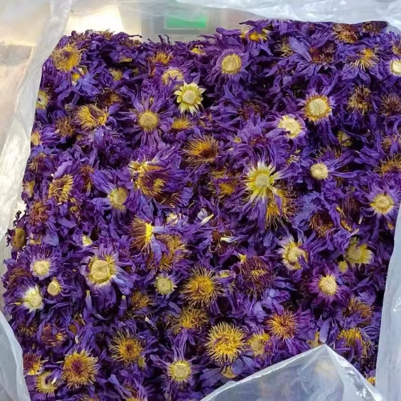 Fleurs séchées aromatiques en fleur de Lotus naturelle, pour bricolage, fabrication de bougies à sav