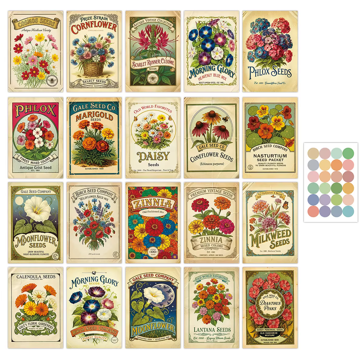 20 cartes de graines de fleurs botaniques vintage pour la décoration esthétique du jardin, cartes d'