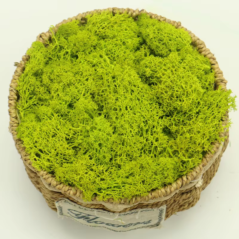 Mousse de plantes artificielles pour la décoration murale de la maison, matériel de fleurs bricolage