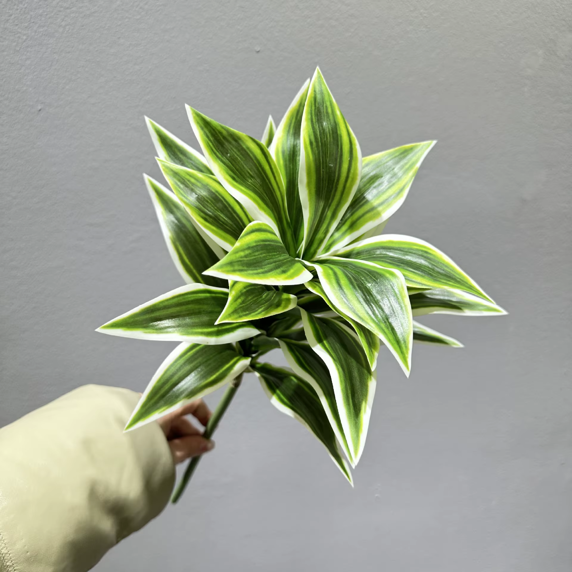Simulation de plantes en plastique Dracaena, 4 pièces, décoration florale, étude, lys artificiel, pl