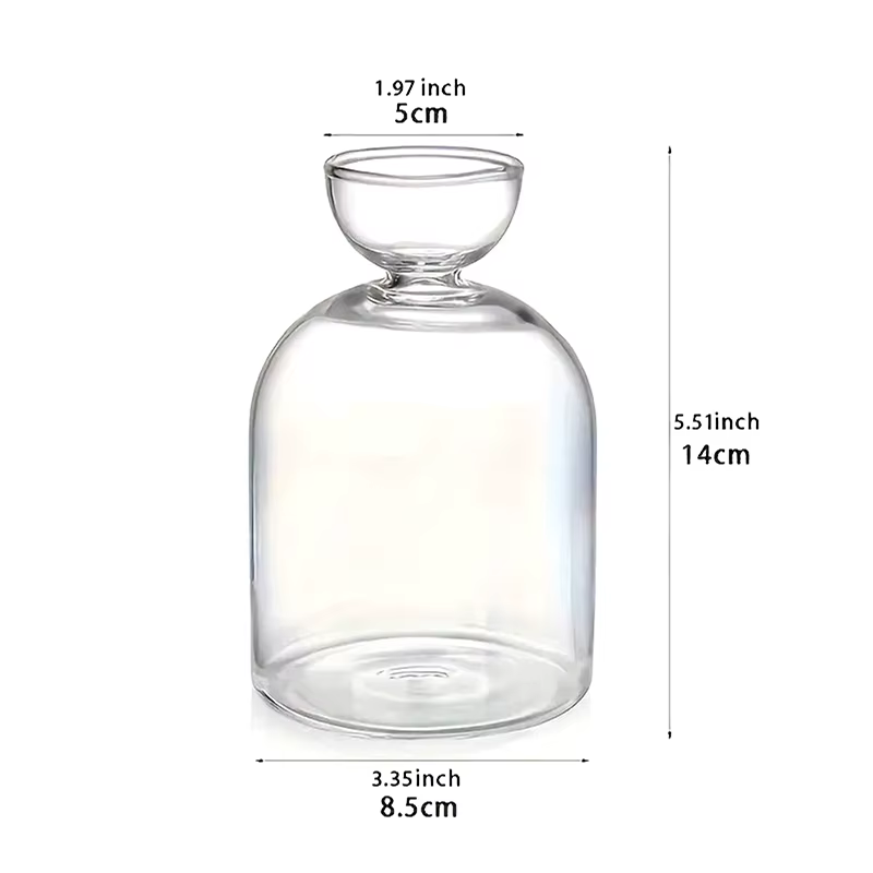 Vase de démarrage de graines d'avocat, Vase en verre Transparent pour plantes en croissance, Kit de 