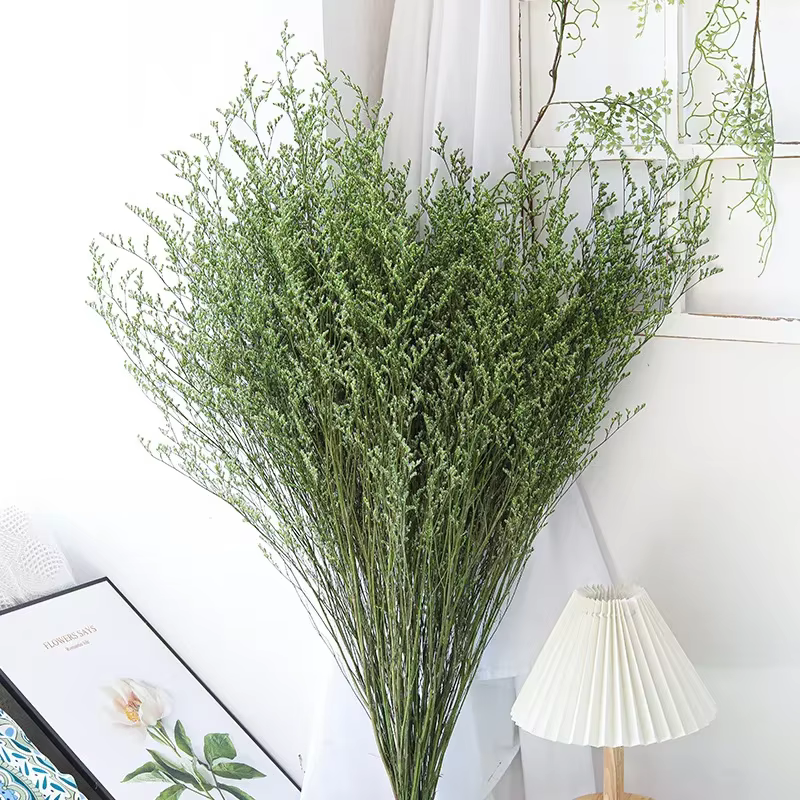 Bouquet de fleurs d'herbe d'amoureux conservé naturel, 100g, Statice de caspia Limonium séchée, Arra