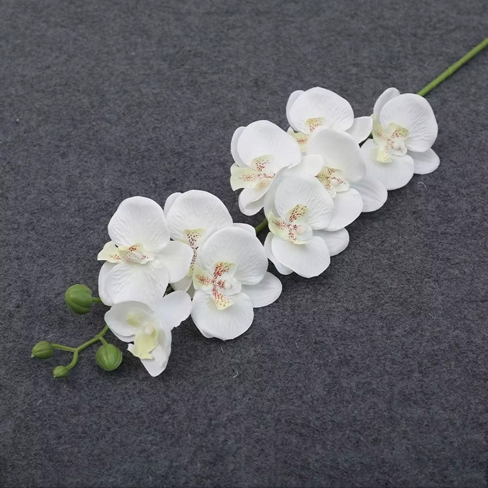 Fleur artificielle Phalaenopsis 3D, orchidée papillon, simulation de plantes au toucher réel, approv