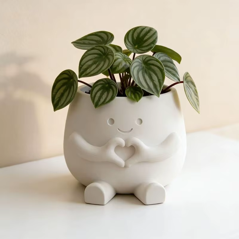 Vase à fleurs unique en forme de tête de chaise, pot à plantes succulentes en résine mignon et durab