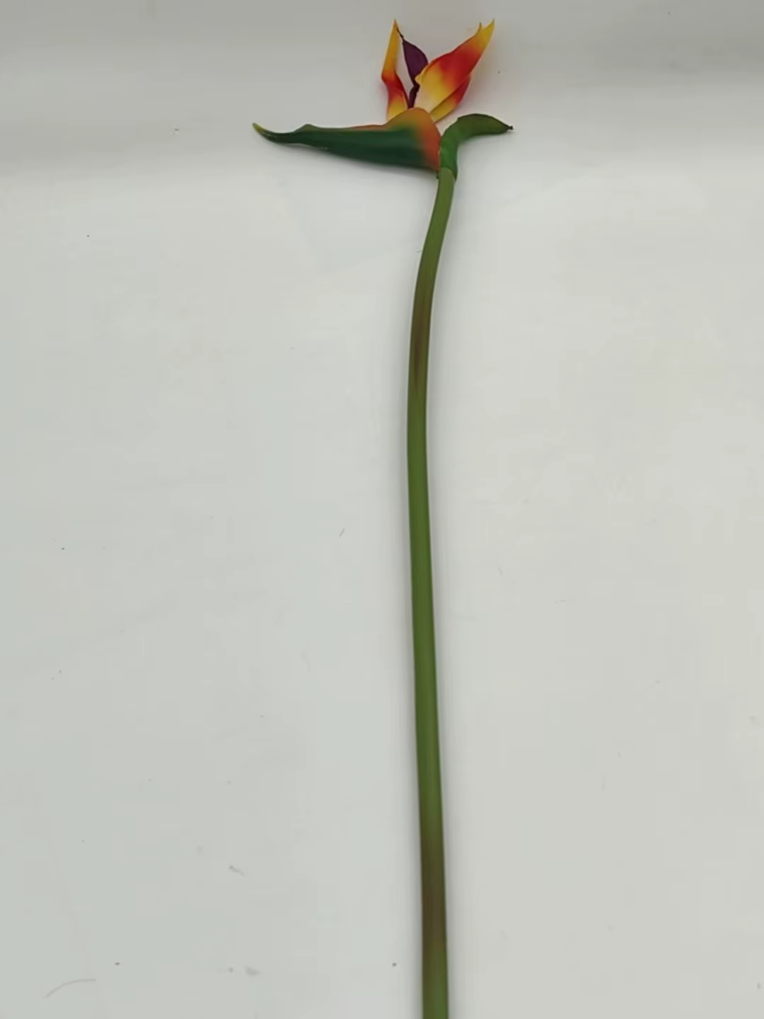 1/3 pièces Fleurs artificielles Strelitzia en caoutchouc à longue tige, idéales pour la décoration D