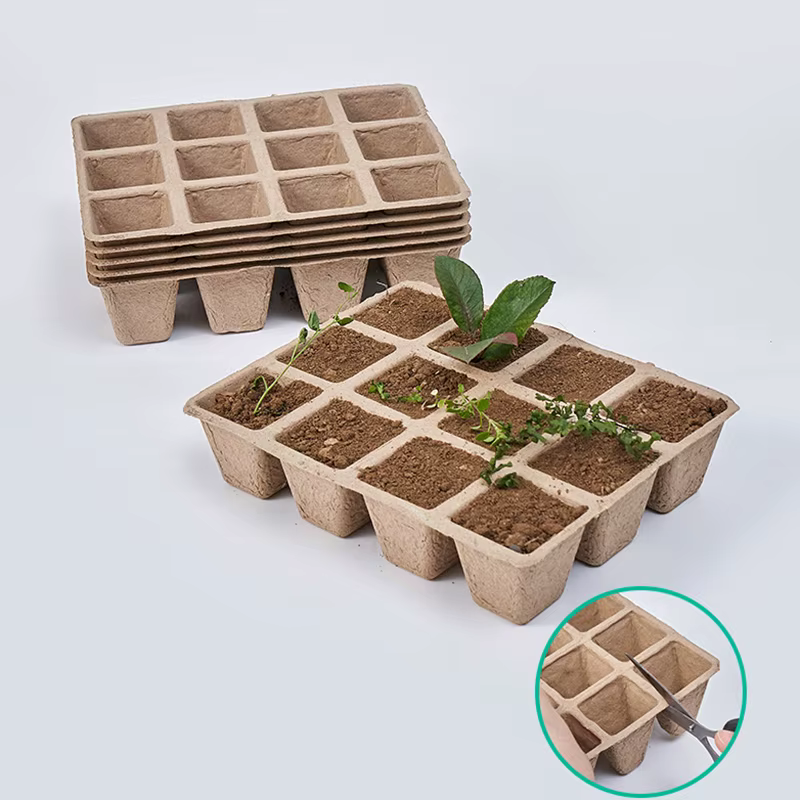 Pépinière bionickel able pour plantes à 12 trous, jardinière hydroponique, outils de système Lauren,