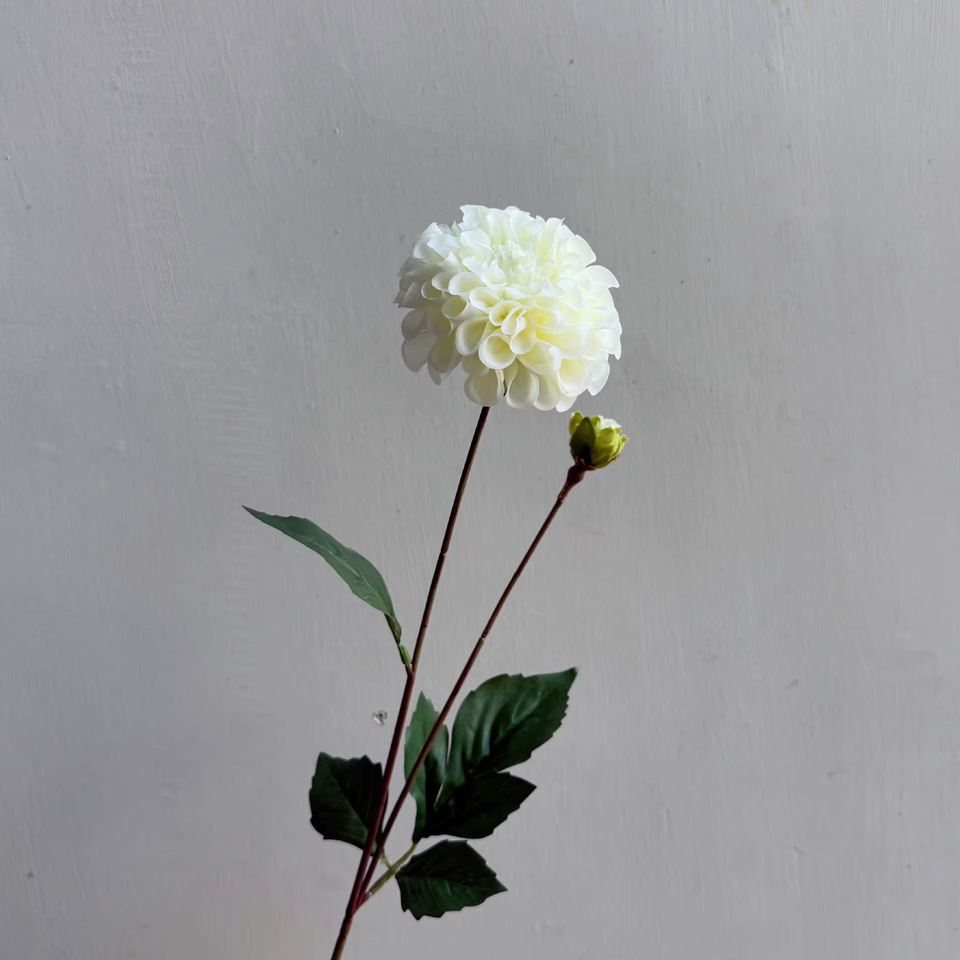 Lot de 5 fleurs artificielles hydratantes Dahlia à 2 têtes, toucher réel, pour bouquet de mariée, dé