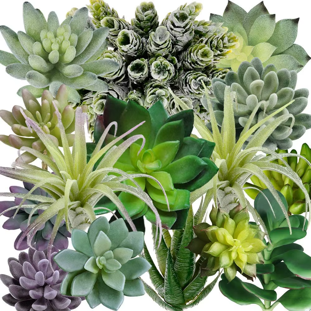 Lot de 15 plantes succulentes artificielles assorties, faux cactus texturés, aloe vera pour arrangem