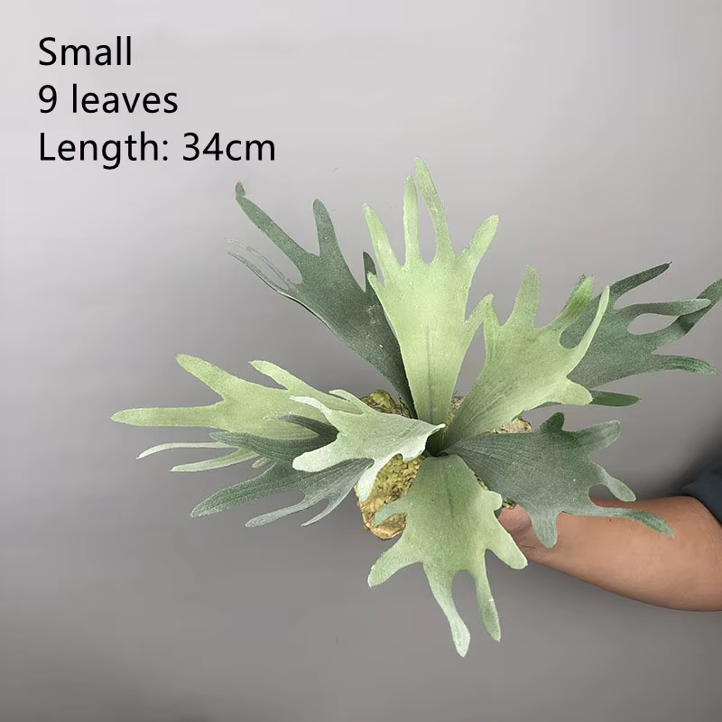 Nouvelles feuilles de bois de cerf artificielles Pteridophyte, plantes succulentes de fleurs artific