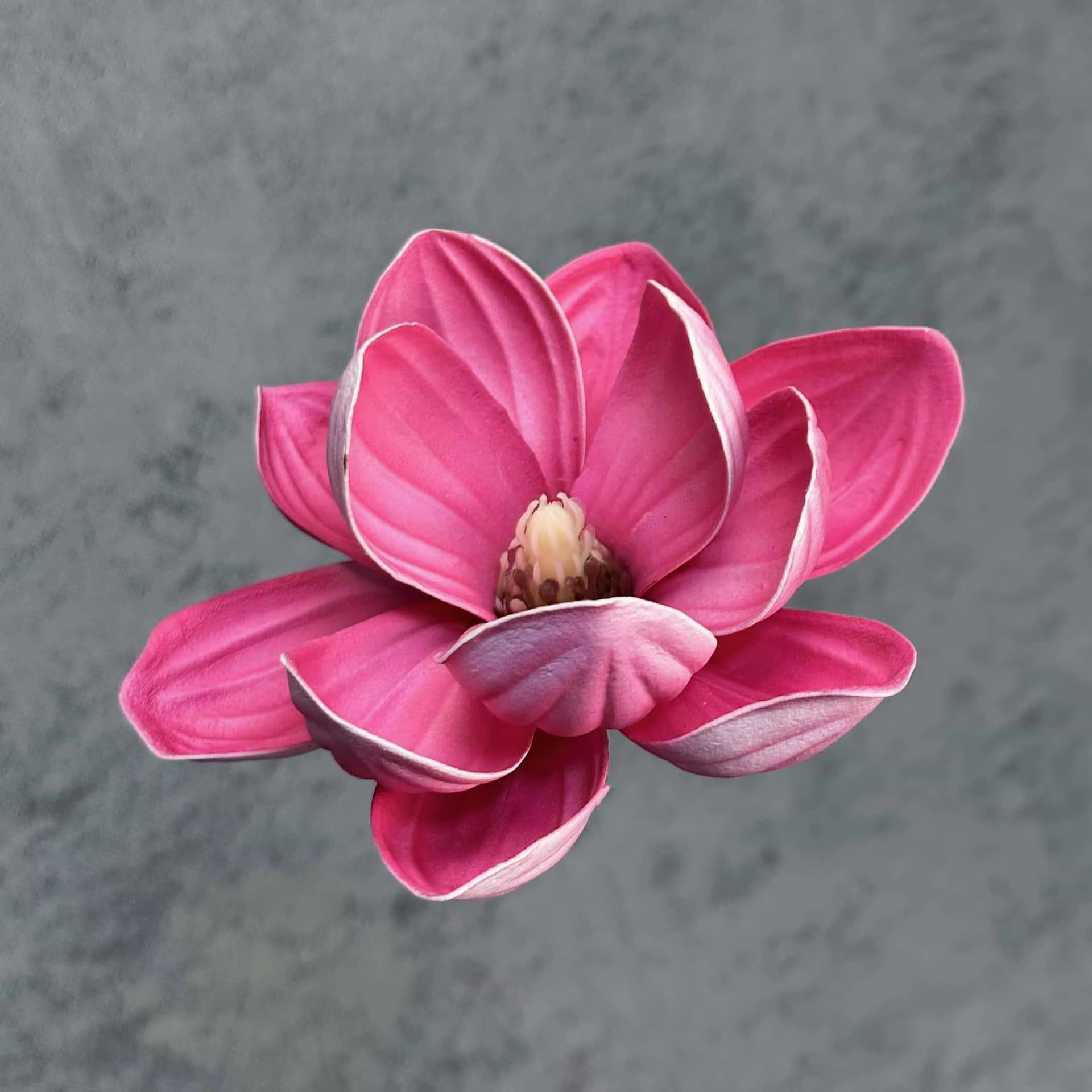 Artificia 20 pièces/lot EVA Magnolia grande fleur tête 13/18CM Dia fleur en soie fleurs de mariage m