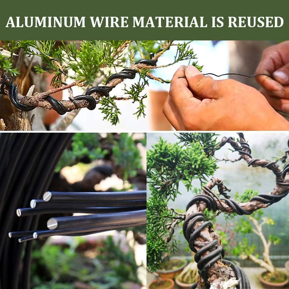 Fil de bonsaï 5/10m, 1mm, Support pour plantes, fil en aluminium anodisé pour faire du bonsaï sur le