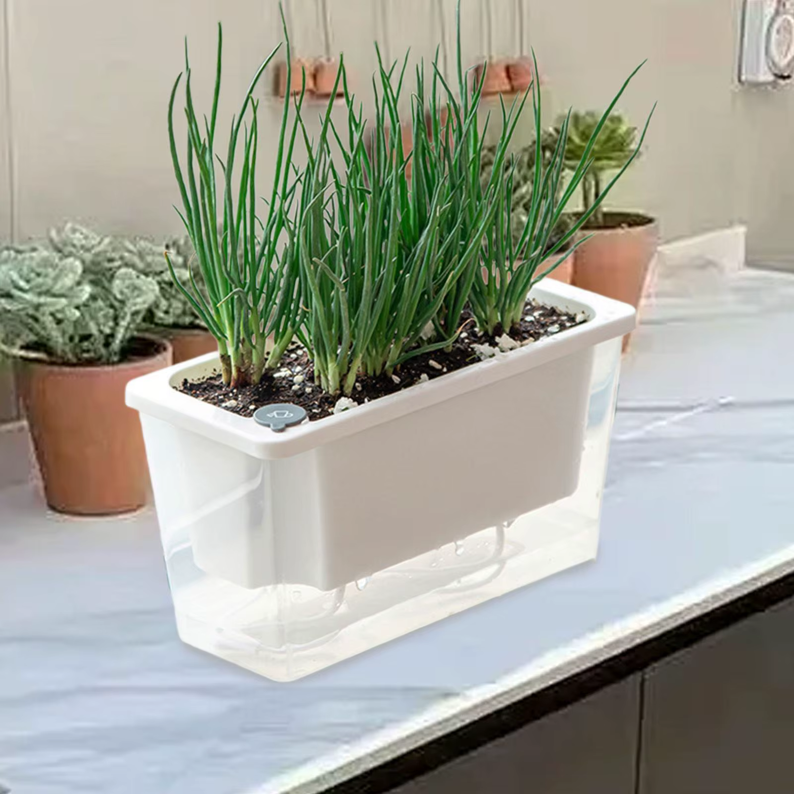 Pot de fleurs auto-arrosage pour balcon, plantes hydroponiques succulentes d'intérieur, jardinière d